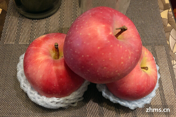 洛川苹果是什么？口感如何？大概在什么时候成熟？