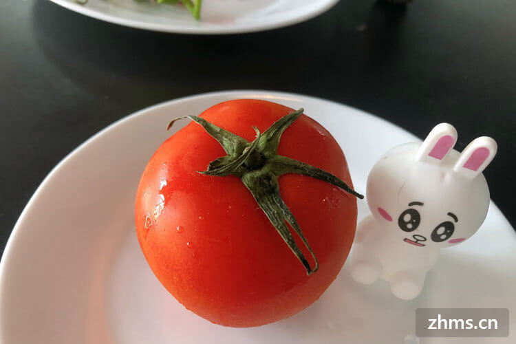 番茄的营养有哪些