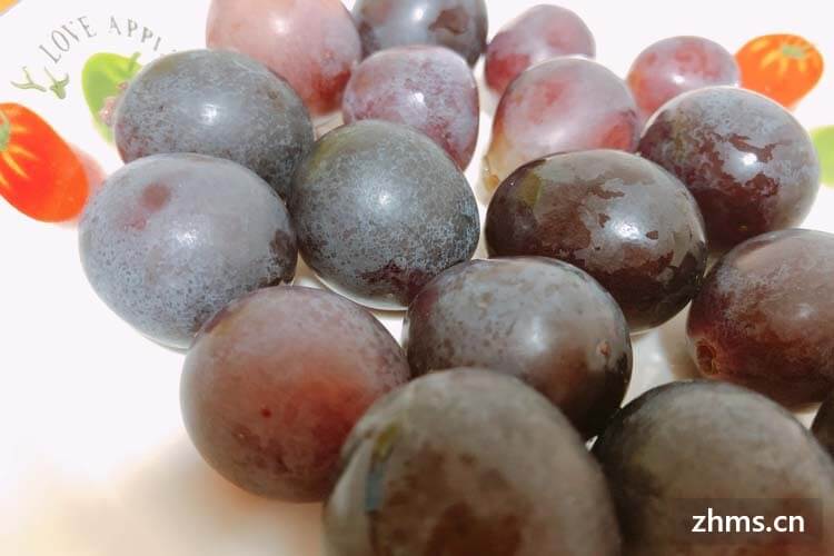 葡萄种植方法