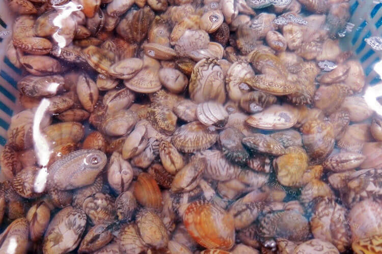 买的花甲是新鲜的，花甲直接放冰箱保鲜会死吗？