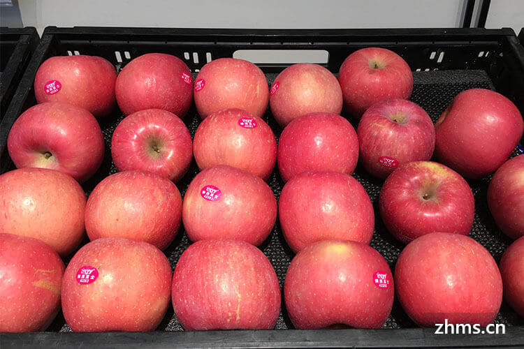 水果新品种推荐，这些苹果新品种品质都很不错