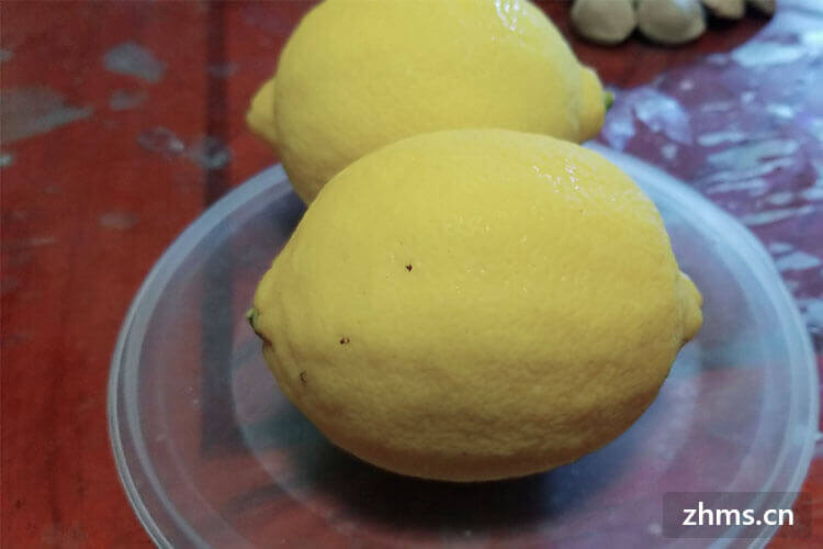 柑橘柠檬完美搭配，让美味冲击你的味蕾