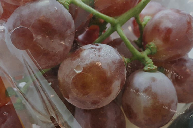 感觉看上去葡萄和提子都是差不多的，请问葡萄提子有什么区别呢？
