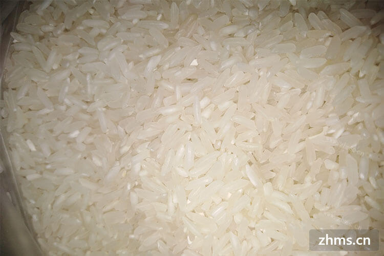 除了蒸米饭以外，大米可以做什么什么食物比较好吃？
