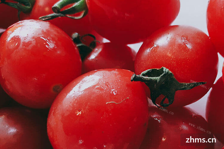 想知道圣女果与西红柿的区别在哪里，知道的人能告诉我吗？