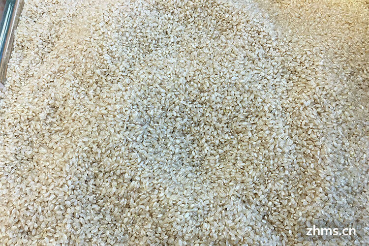 三色糙米和普通糙米的区别是什么
