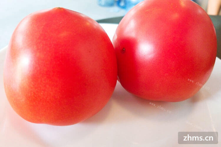 想买一些西红柿回家炖着吃，可是西红柿怎么炖呢？
