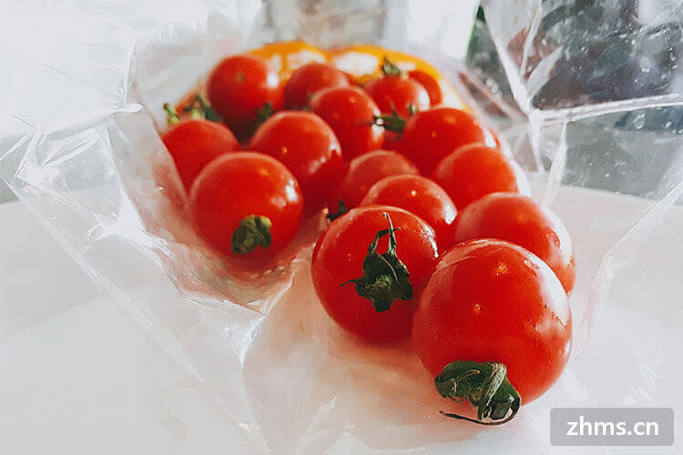 西红柿减肥吗
