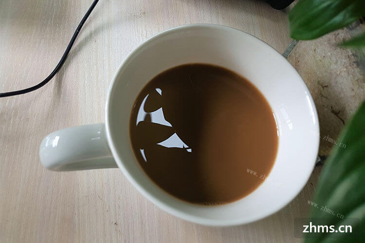 怎么加盟猫屎咖啡，具体流程是什么？