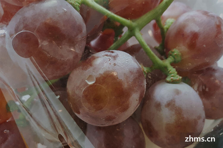 葡萄哪里产的好吃?葡萄是一种什么水果？