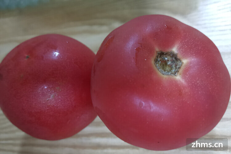 西红柿怎么存