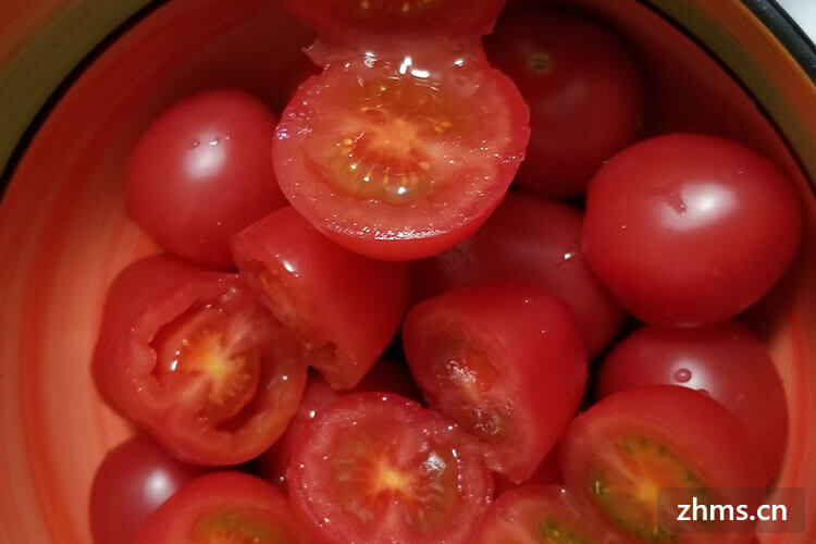 番茄意面