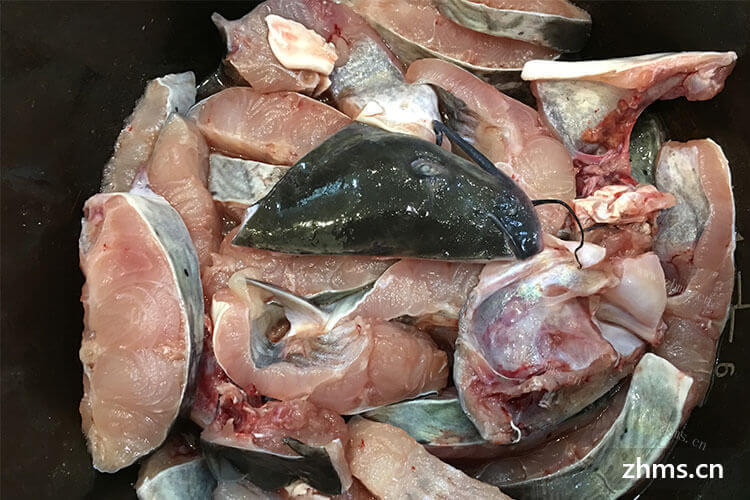 20斤海水石斑鱼价格是多少，你们知道吗