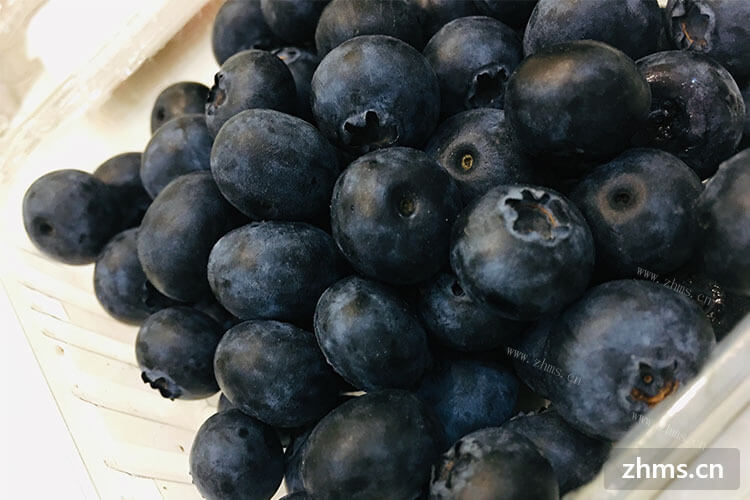 听说蓝莓山药特别好吃，可是蓝莓山药蒸多久呢？