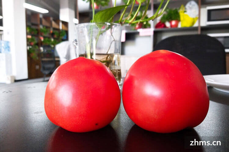 西红柿汤能减肥吗