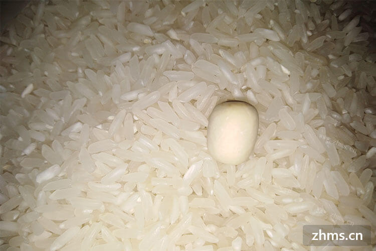 怎么才能煮出香糯的大米呢？我想问问大家