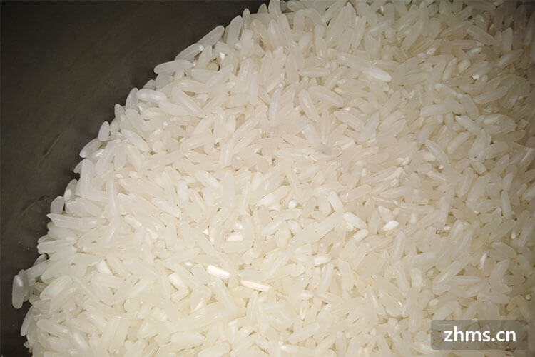 大米营养成分