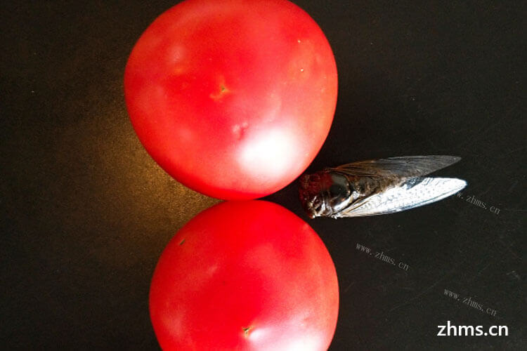 家里西红柿坏了，想问西红柿坏了一点还能吃吗？