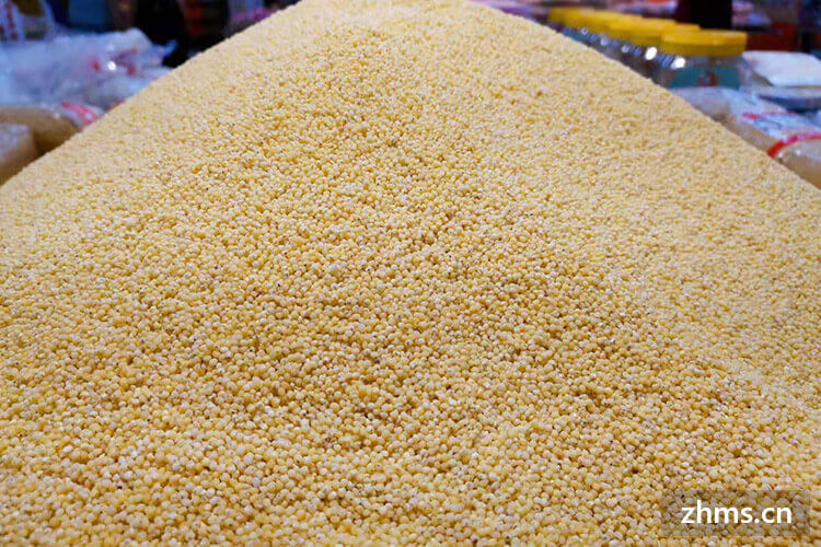 小米多少钱一斤