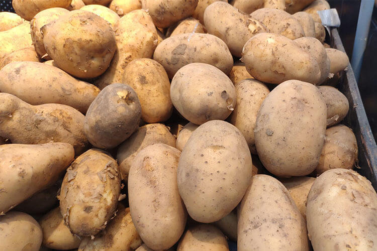 防止土豆发芽的办法，发芽的土豆还能吃吗？