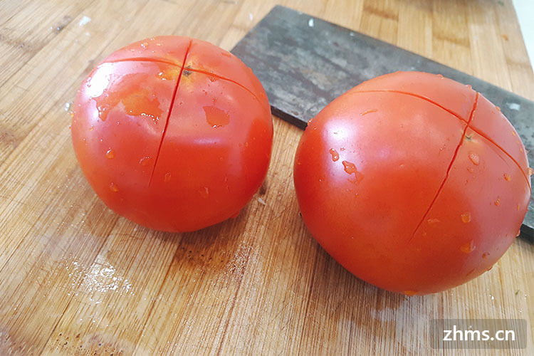 番茄减肥食谱