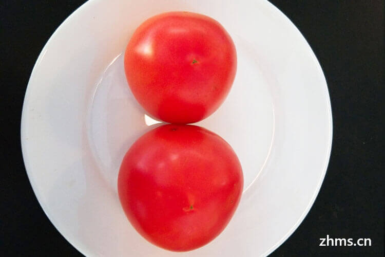 西红柿是番茄