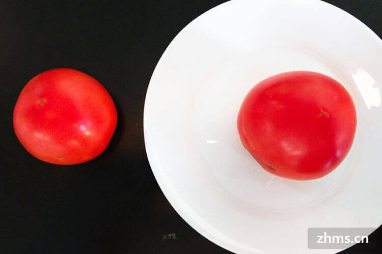吃小西红柿能减肥吗