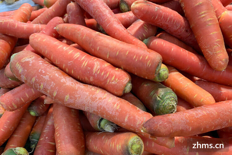 胡萝卜的功效与食用价值