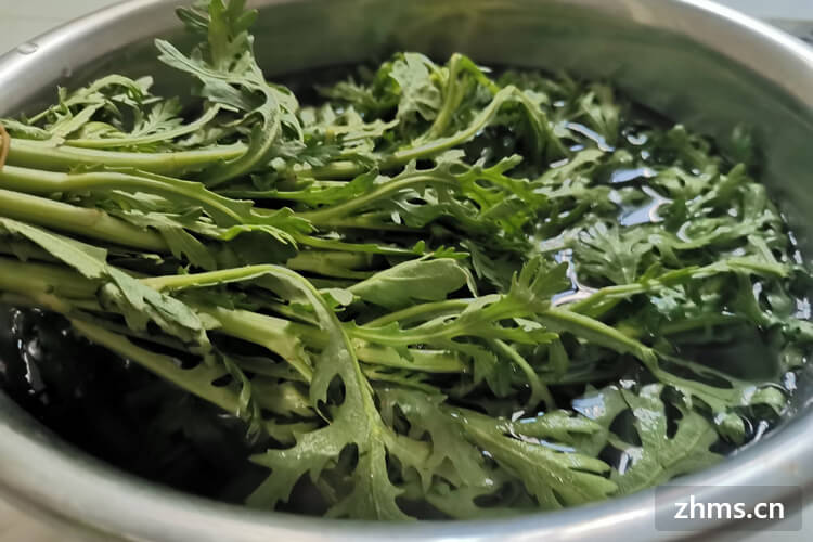 蒸菜茼蒿的做法是什么，茼蒿的营养价值有哪些呢？