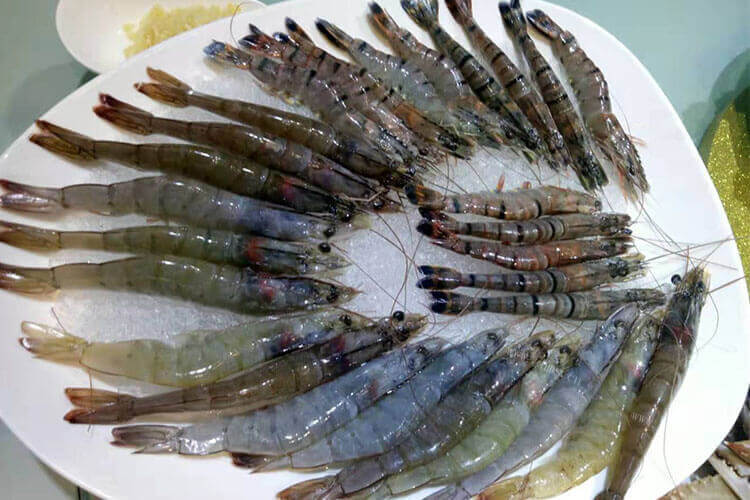 冷冻的大虾和活着的大虾哪个好吃，冻虾和活虾的价格差别在哪？