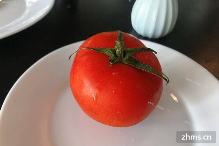 买了一些西红柿和黄瓜回家，西红柿和黄瓜怎么搭配在一起呢？