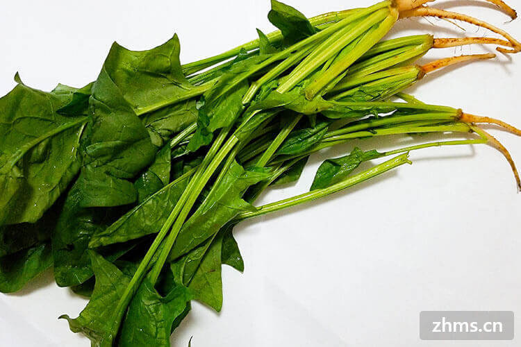 多吃菠菜可以保护视力，3月份可以吃菠菜吗？