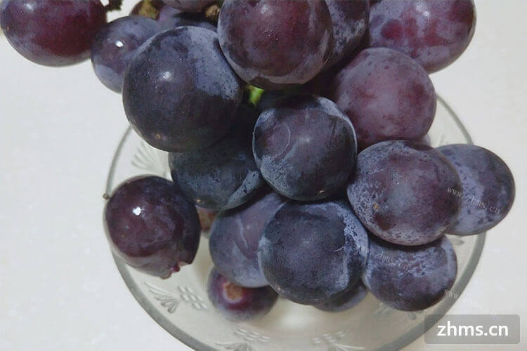 我很喜欢吃葡萄，夏黑和巨峰哪个品种好？