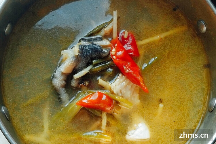 高压锅炖鸡汤的做法