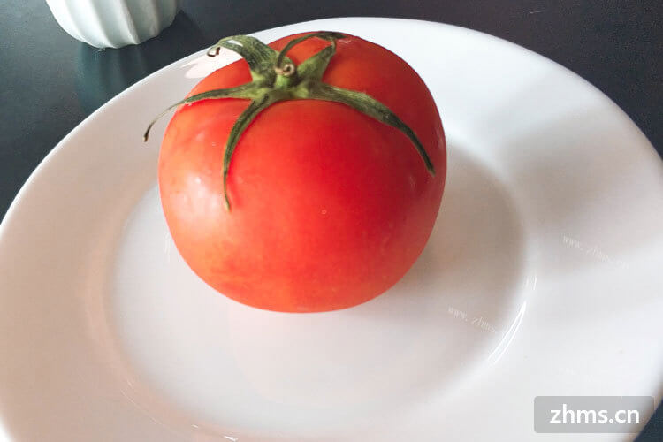 请问番茄是西红柿吗？我不太了解耶！