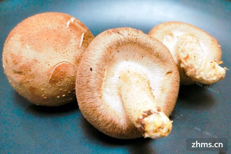 听说香菇非常的好吃，但是香菇怎么做呢？