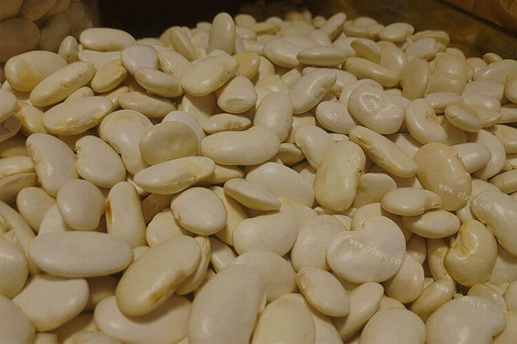大白芸豆怎么煮烂，为什么我煮大白芸豆煮不烂呢？