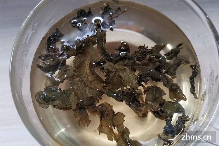 采摘了一些新鲜茶叶，请问新鲜茶叶能保存多久呢？