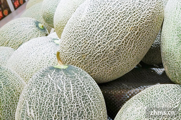 最近想了解一下哈密瓜，请问菏泽扶贫哈密瓜产地哈密瓜品质怎么样