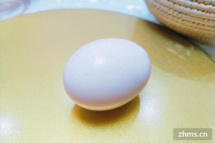 禽流感还能吃鸡蛋吗