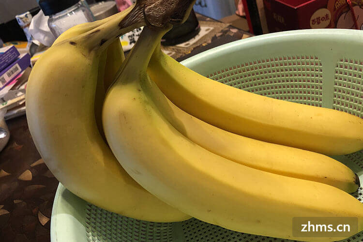 香蕉品种 香蕉的营养价值和功效