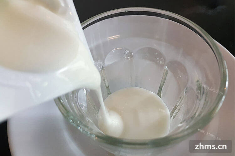 创业找项目，请问有谁了解滇品爱上酸奶牛费用如何？