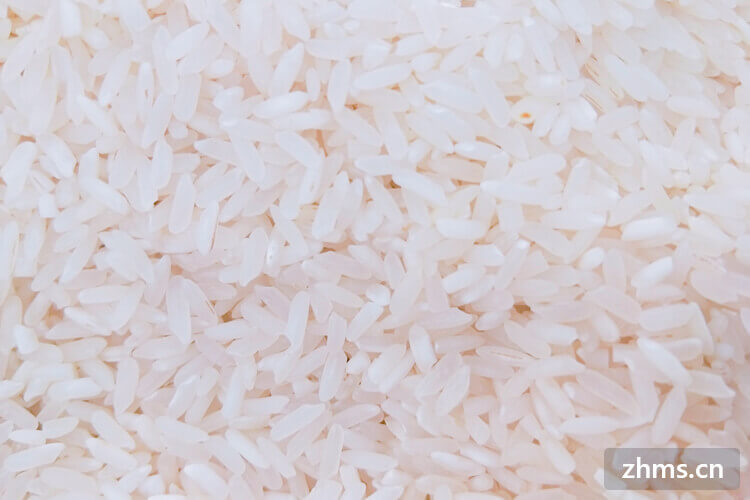 食材中粳米的功效与作用有哪些
