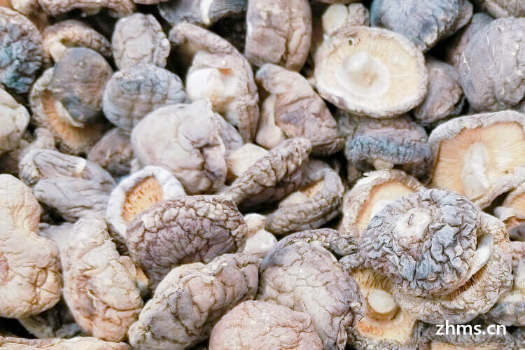 干香菇产地，香菇是伞菌界的“美食代表”