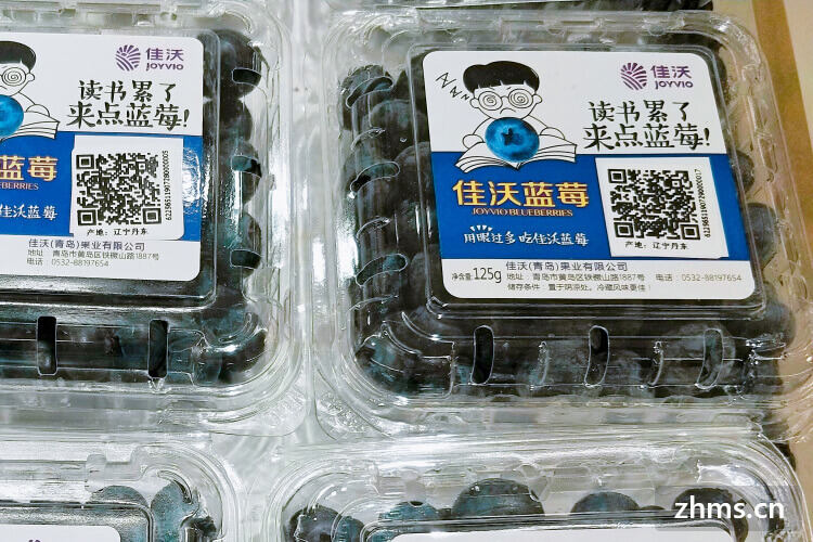 薄雾蓝莓可以吃吗