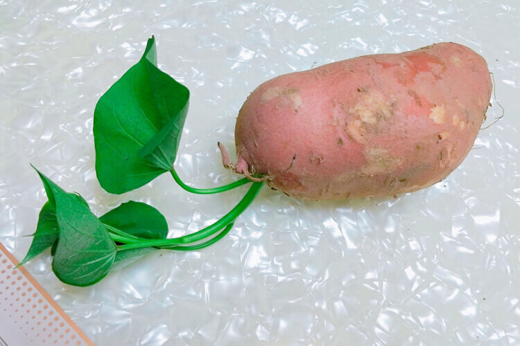 家里种了些红薯，想做成红薯粉，打红薯粉机多少钱一台？