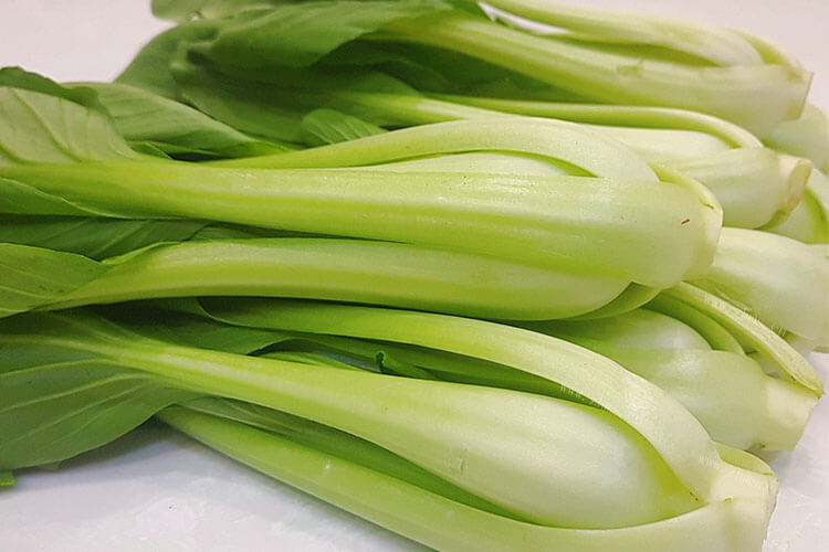 最近想吃小青菜，大家知道小青菜是不是上海青菜？