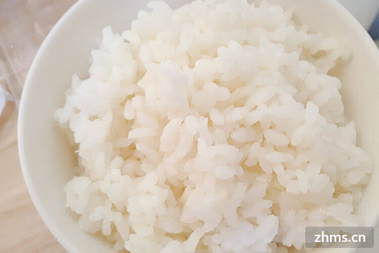 煮干饭用籼米还是粳米