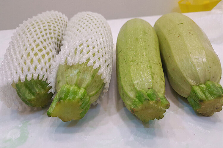 西葫芦和角瓜为什么长得这么像，西葫芦角瓜是一个东西吗？