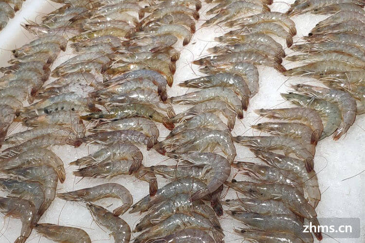 斑节对虾的做法